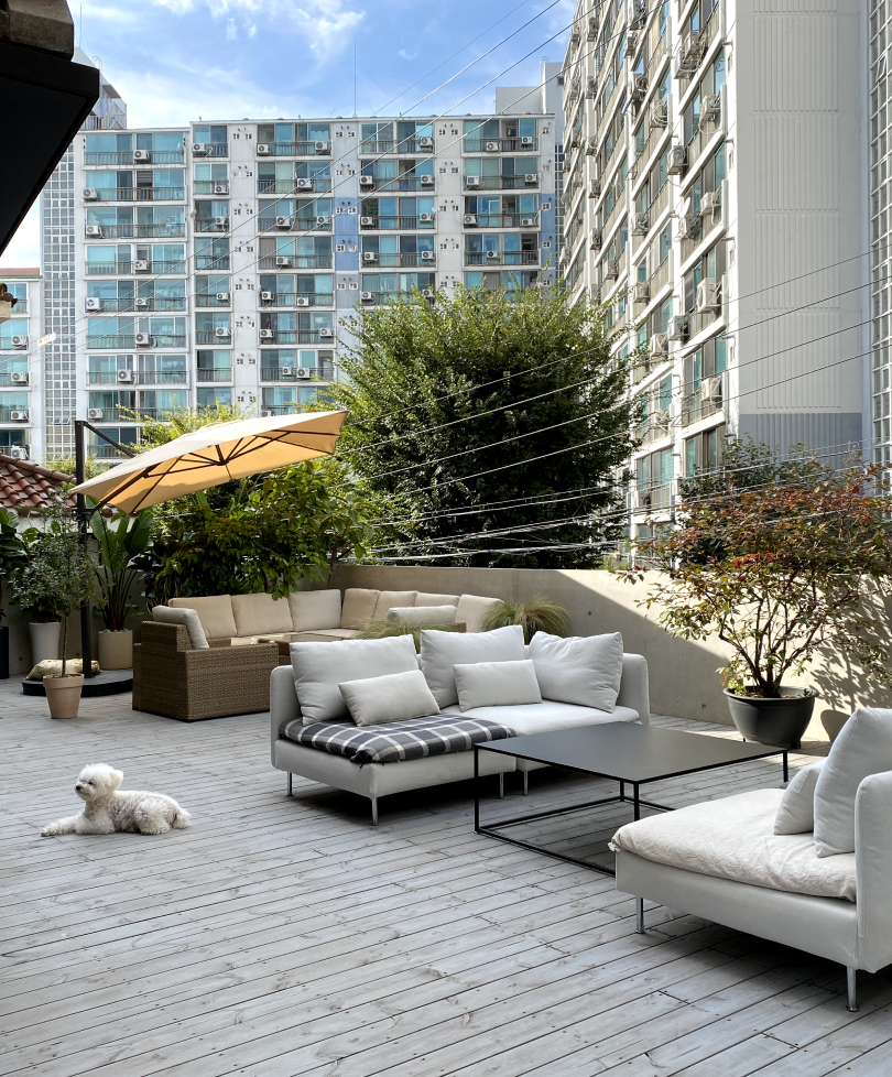 Terrace view